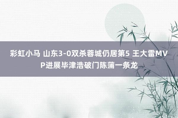 彩虹小马 山东3-0双杀蓉城仍居第5 王大雷MVP进展毕津浩破门陈蒲一条龙