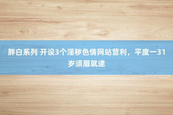 胖白系列 开设3个淫秽色情网站营利，平度一31岁须眉就逮
