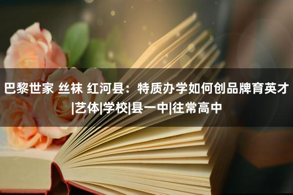 巴黎世家 丝袜 红河县：特质办学如何创品牌育英才|艺体|学校|县一中|往常高中