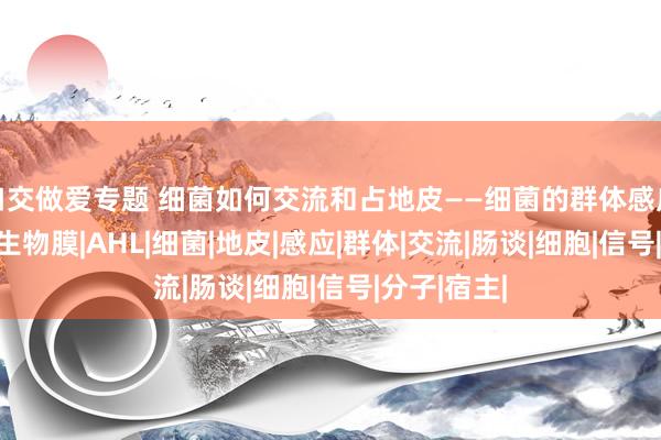 口交做爱专题 细菌如何交流和占地皮——细菌的群体感应和生物膜|生物膜|AHL|细菌|地皮|感应|群体|交流|肠谈|细胞|信号|分子|宿主|