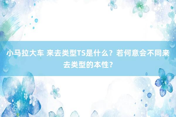 小马拉大车 来去类型TS是什么？若何意会不同来去类型的本性？