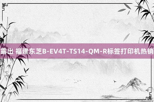 露出 福建东芝B-EV4T-TS14-QM-R标签打印机热销