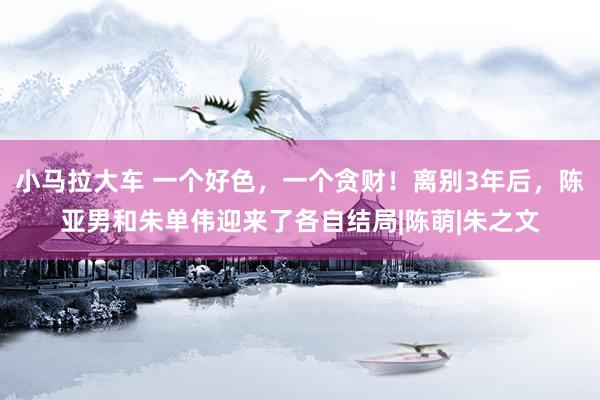 小马拉大车 一个好色，一个贪财！离别3年后，陈亚男和朱单伟迎来了各自结局|陈萌|朱之文