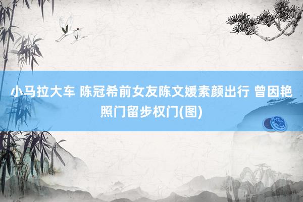小马拉大车 陈冠希前女友陈文媛素颜出行 曾因艳照门留步权门(图)