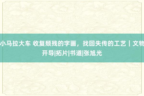 小马拉大车 收复颓残的字画，找回失传的工艺｜文物开导|拓片|书道|张旭光