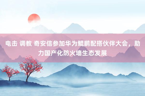 电击 调教 奇安信参加华为鲲鹏配搭伙伴大会，助力国产化防火墙生态发展