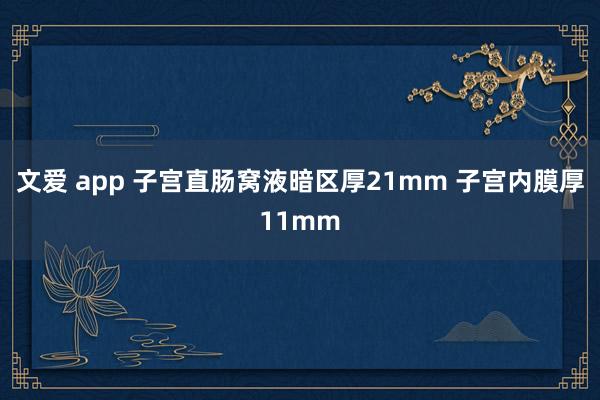 文爱 app 子宫直肠窝液暗区厚21mm 子宫内膜厚11mm