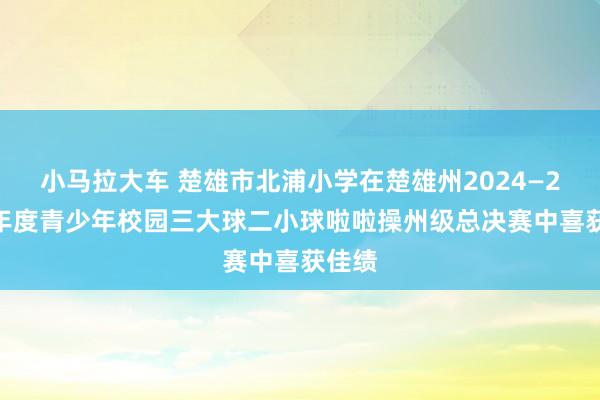 小马拉大车 楚雄市北浦小学在楚雄州2024—2025年度青少年校园三大球二小球啦啦操州级总决赛中喜获佳绩