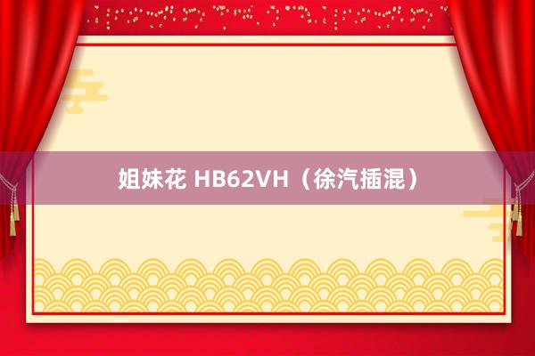 姐妹花 HB62VH（徐汽插混）