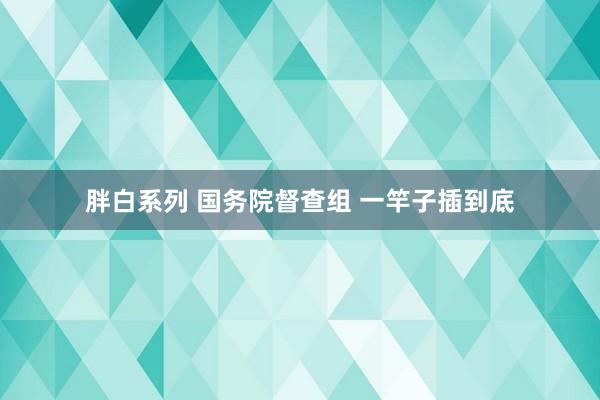 胖白系列 国务院督查组 一竿子插到底