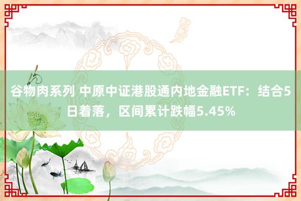 谷物肉系列 中原中证港股通内地金融ETF：结合5日着落，区间累计跌幅5.45%