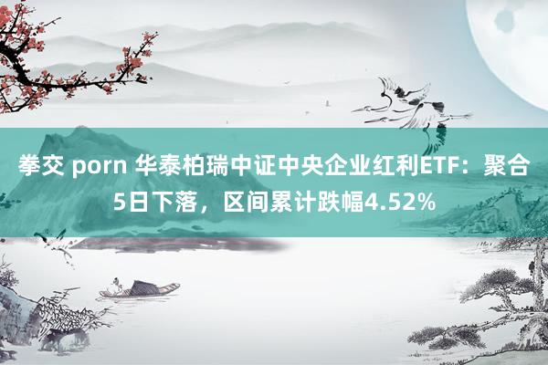拳交 porn 华泰柏瑞中证中央企业红利ETF：聚合5日下落，区间累计跌幅4.52%
