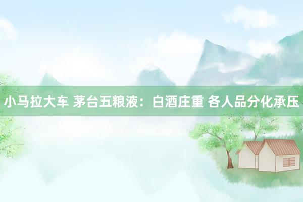 小马拉大车 茅台五粮液：白酒庄重 各人品分化承压
