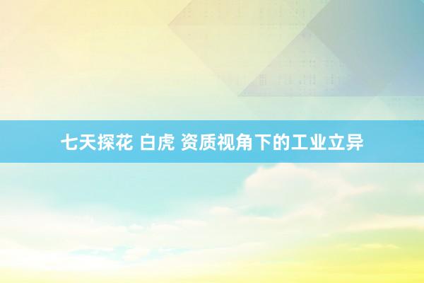 七天探花 白虎 资质视角下的工业立异