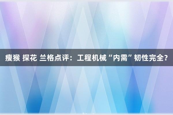 瘦猴 探花 兰格点评：工程机械“内需”韧性完全？