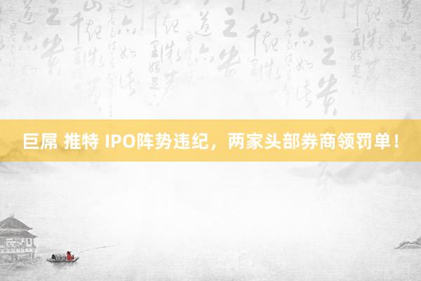 巨屌 推特 IPO阵势违纪，两家头部券商领罚单！