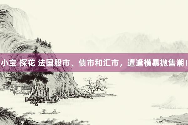 小宝 探花 法国股市、债市和汇市，遭逢横暴抛售潮！