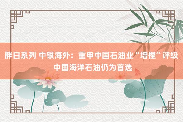 胖白系列 中银海外：重申中国石油业“增捏”评级 中国海洋石油仍为首选