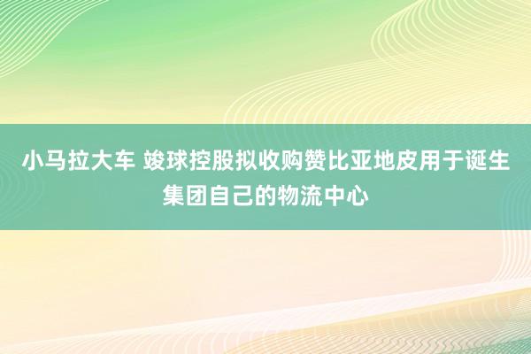小马拉大车 竣球控股拟收购赞比亚地皮用于诞生集团自己的物流中心