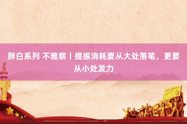 胖白系列 不雅察丨提振消耗要从大处落笔，更要从小处发力